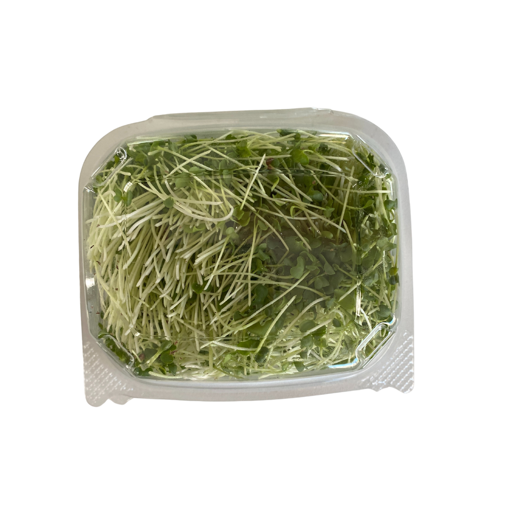 Matts Tiny Farm Broccoli Microgreens 50g