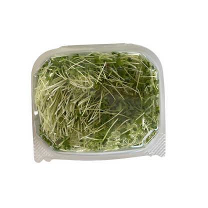 Matts Tiny Farm Broccoli Microgreens 50g