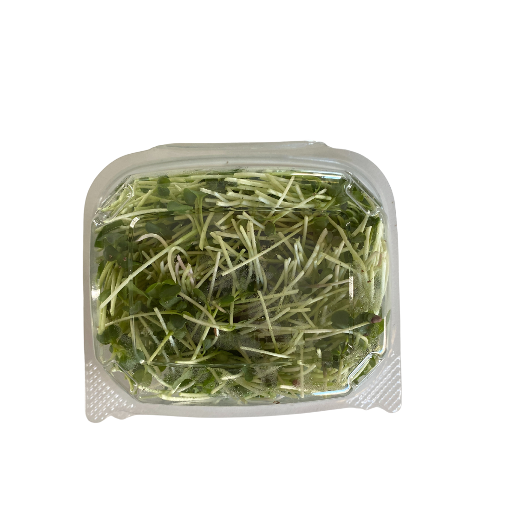 Matts Tiny Farm Radish Microgreens 50g