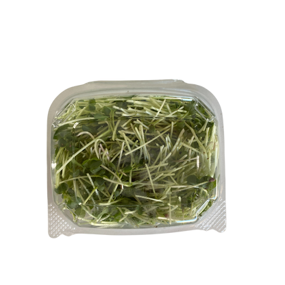 Matts Tiny Farm Radish Microgreens 50g