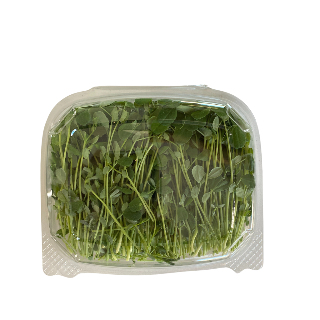 Matts Tiny Farm Speckled Pea Microgreens 50g