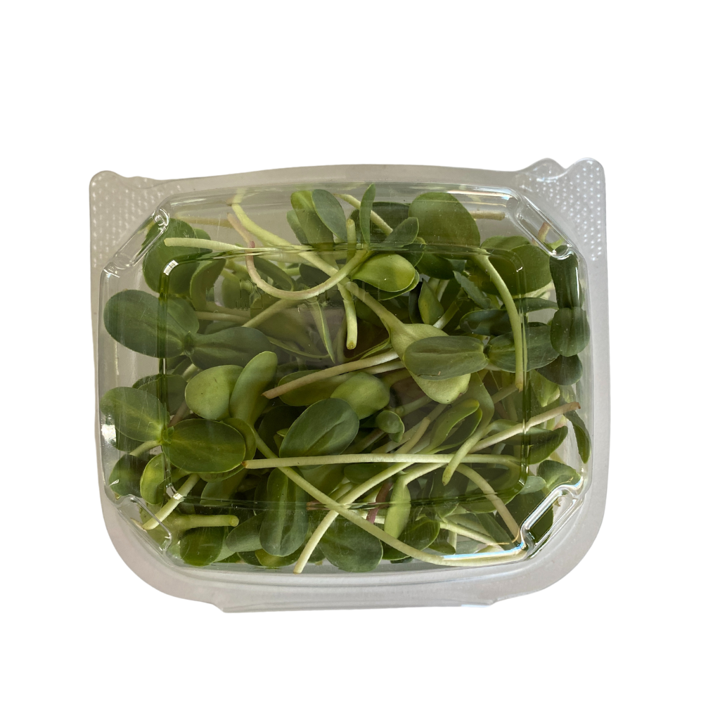 Matts Tiny Farm Sunflower Microgreens 50g