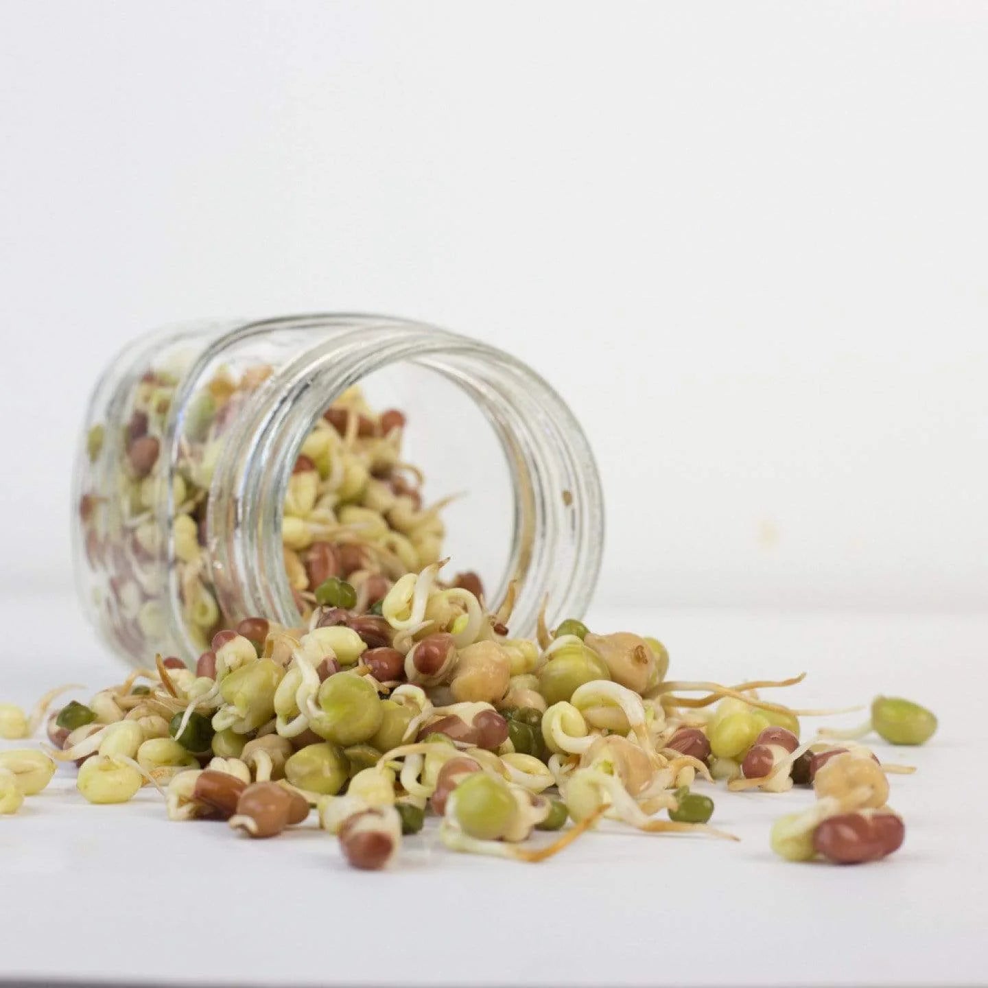 Vegan Protein Sprouting Seed Blend 226g Past Dated